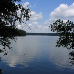IMG_0186