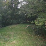 IMG_0033