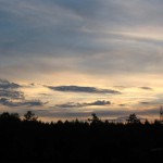 IMG_1017