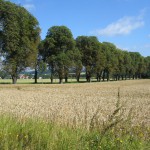 Stammeslager016