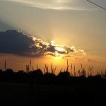 DSC00894