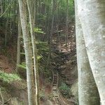 DSC01058