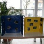 IMG_0063