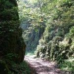 LWE-2007-09-23_11-38-46