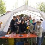 IMGP065920080502
