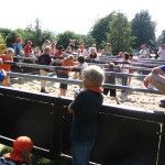 MEUTErei2008_2008-07-31_17-22-35