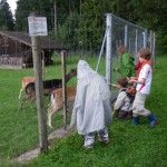 2010_08_08-11_39_38_woe-sola10